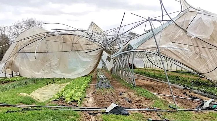 COUP DE POUCE – Solidarité avec la Ferme du Petit Bidouze dans les Landes